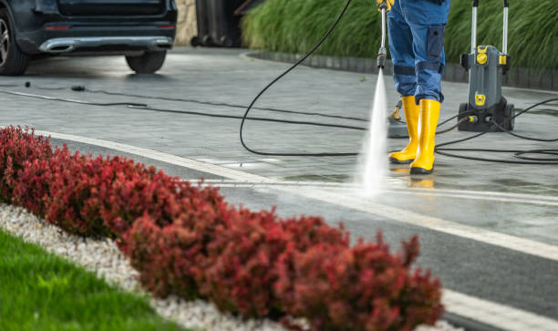 Best Vinyl Siding Pressure Washing in Pioneer, OH